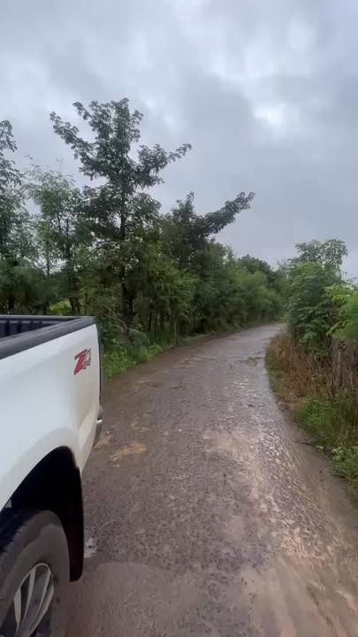 Đất nền Xuân Phú, Xuân Lộc 10.000m² giá 3.6 tỷ - Tiềm năng phát triển vườn tược!