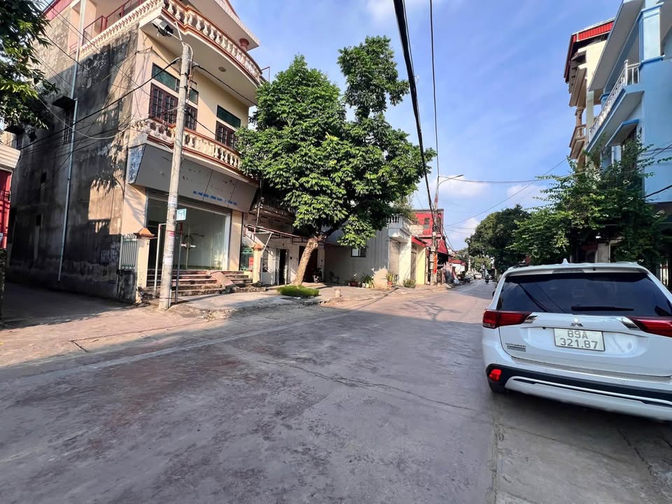 Đất nền Hồng Châu, Hưng Yên 175m² giá 3 tỷ - Vị trí đắc địa, tiện ích đầy đủ!