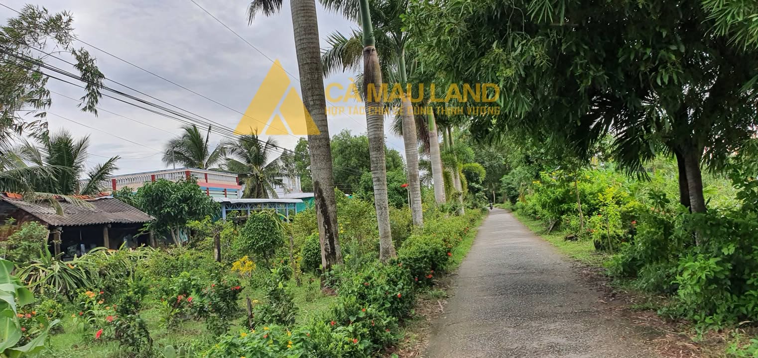 Đất nền Tân Xuyên Cà Mau 271m² chỉ 700 triệu - Giá tốt hiếm có!