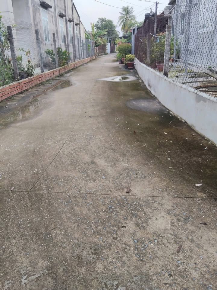 Đất thổ cư 156m² ấp Tua Hai, Tây Ninh - Giá chỉ 120 triệu!