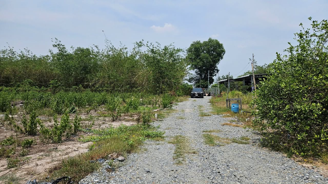 Đất thổ cư 176m² tại Phường Gò Dầu, Tây Ninh chỉ 380 triệu - Đường ô tô vào tận nơi!