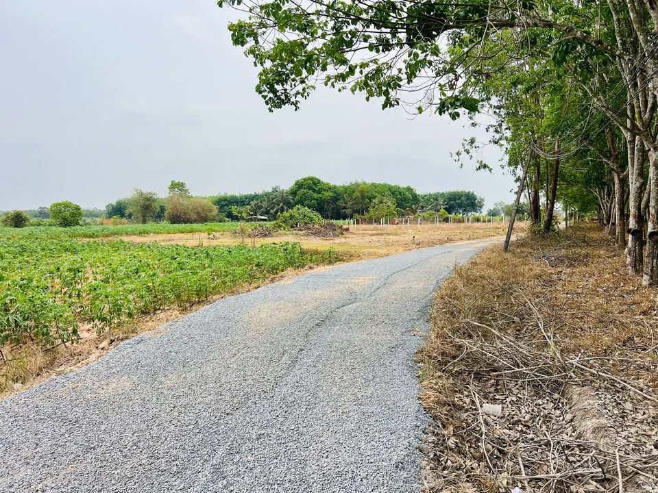 Đất nền Trí Bình Châu Thành Tây Ninh 218m² giá thỏa thuận - Đầu tư tiềm năng!