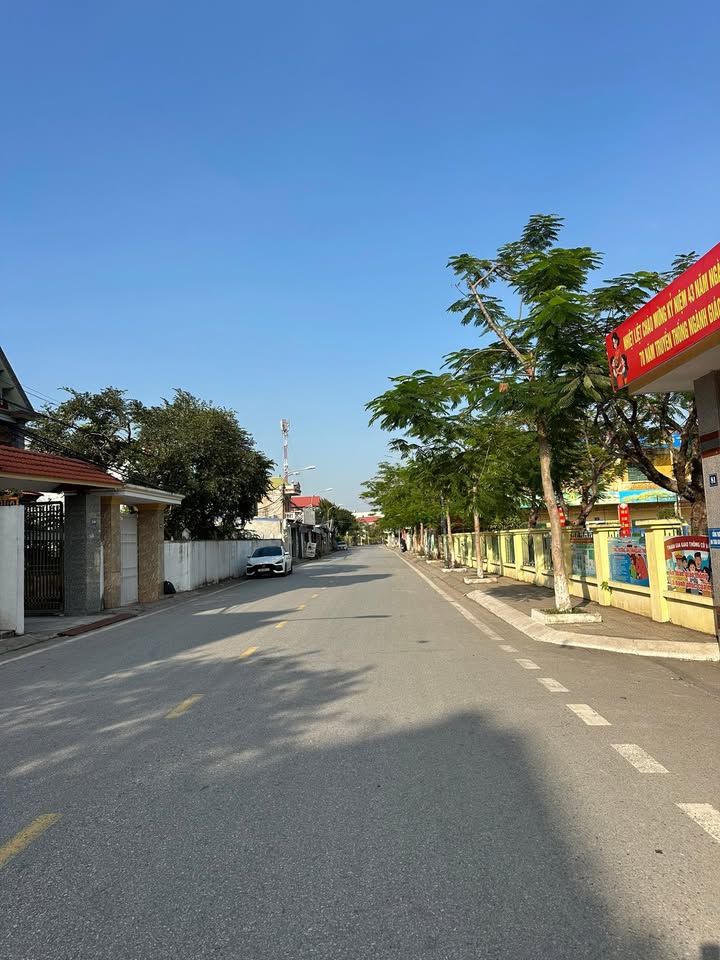 Đất nền Bạch Mai, An Hải 81m² giá 2 tỷ - Pháp lý rõ ràng, an cư lý tưởng!