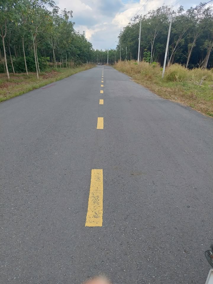 Đất nền mặt tiền đường DH611, xã Lai Hưng, huyện Bàu Bàng, 10000m² giá chỉ 15 tỷ - Đầu tư sinh lời tốt!