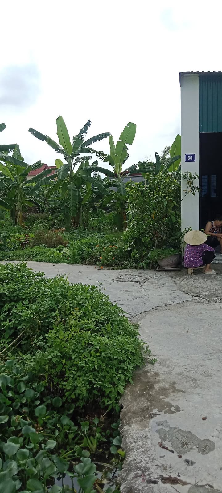 Đất nền thôn Kiều Hạ, xã Quốc Tuấn, huyện An Dương, Hải Phòng 60m² giá 1.166 tỷ - Sổ đỏ chính chủ!