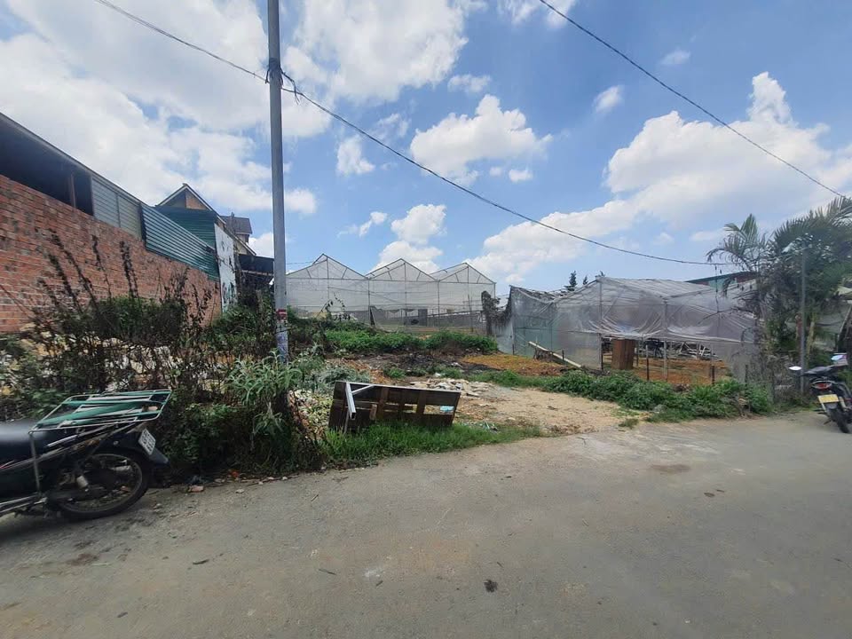 Đất đẹp 250m² Trần Đại Nghĩa, Đà Lạt giá chỉ 7.8 tỷ - Cơ hội đầu tư tuyệt vời!