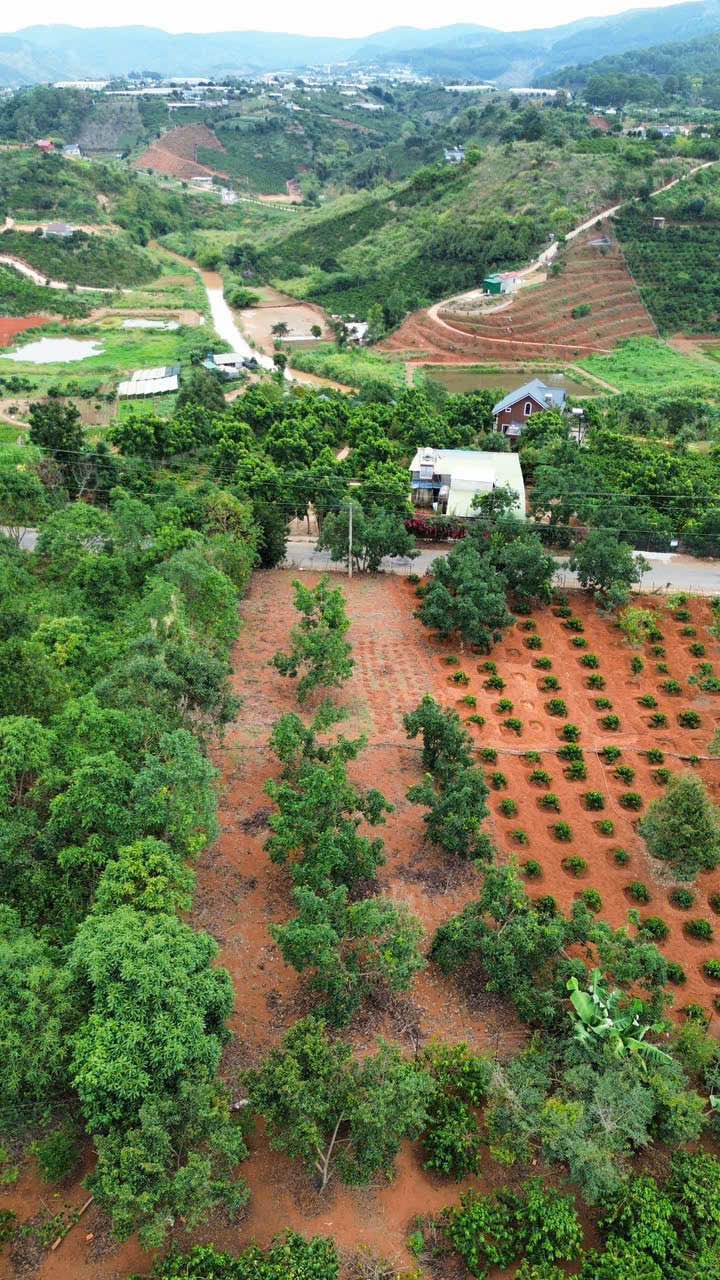 Đất mặt tiền đường Mê Linh, Lâm Hà 648m² giá 3 tỷ - Cơ hội đầu tư tuyệt vời!