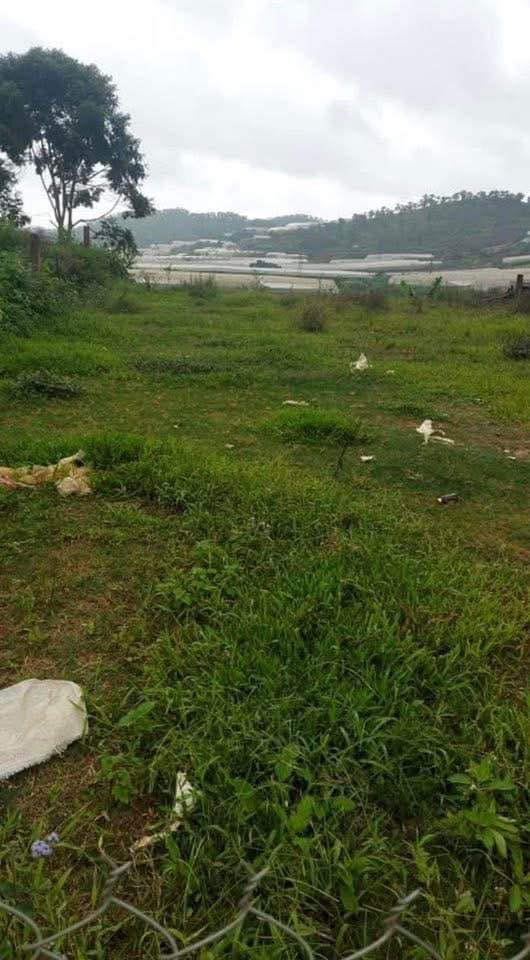 Đất mặt tiền đường 19/5, phường Lang Biang, Đà Lạt 708m² - Cơ hội đầu tư lý tưởng!