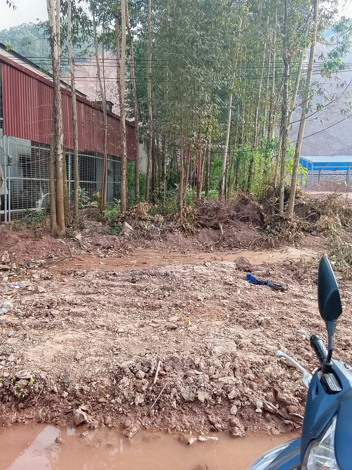 Đất nền Quốc lộ 31, Lục Nam, Bắc Giang diện tích 210m² - Địa hình đẹp, phong thủy tốt!