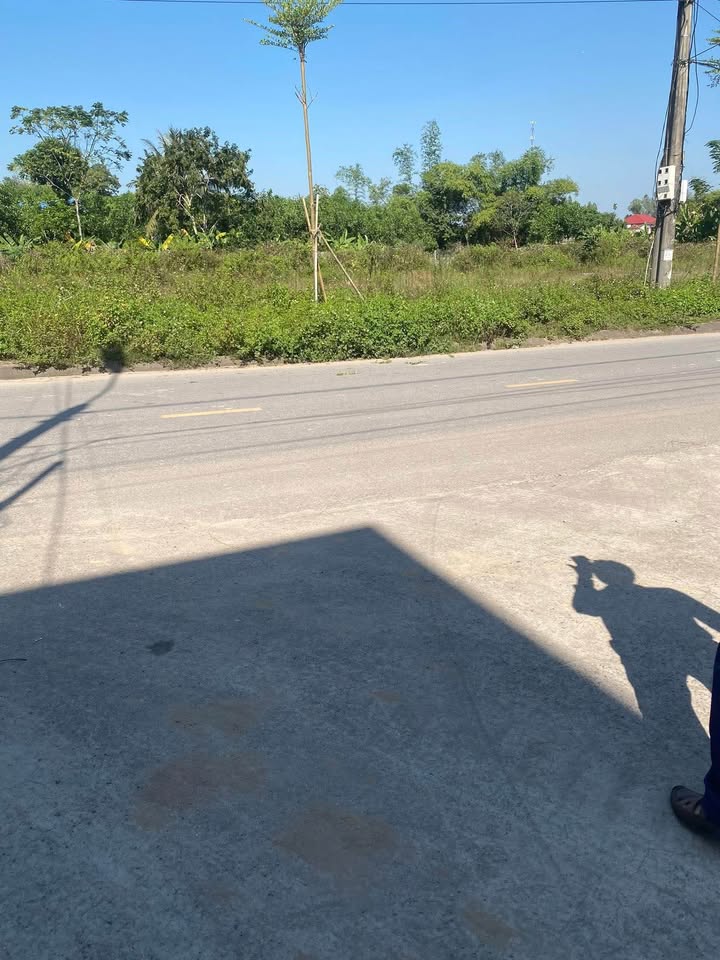 Đất nền Lương Sơn 110m² giá 1 tỷ - Mặt đường lớn, tiềm năng đầu tư!