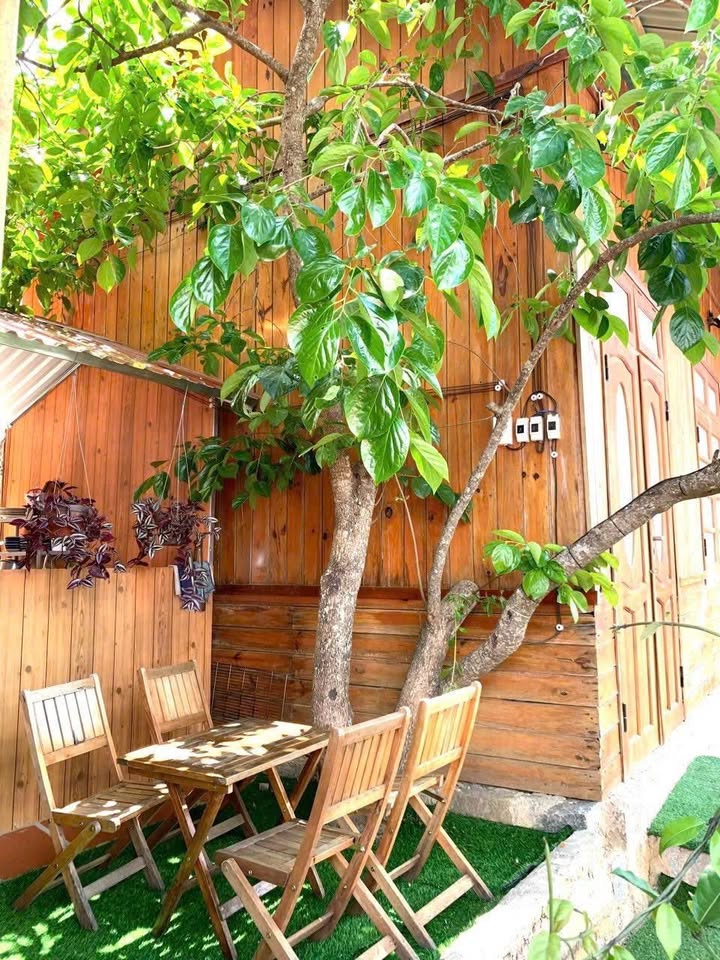 Cho thuê bungalow sân vườn Đà Lạt 200m² giá 12 triệu - Không gian nghỉ dưỡng lý tưởng!