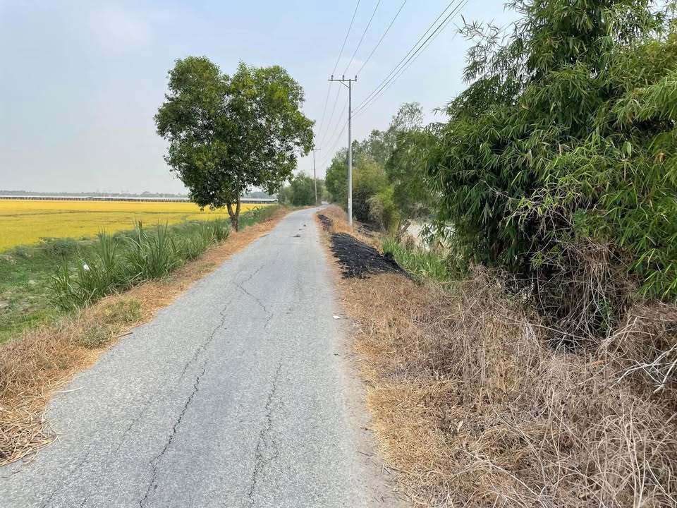 Đất ruộng Tân Hộ Cơ 9000m² giá chỉ 1.17 tỷ - Xe hơi vào tận nơi!