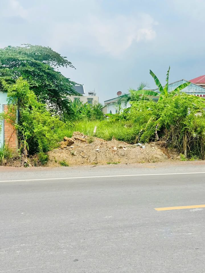 Đất sổ đỏ mặt tiền đường ĐT746 tại Tân Mỹ, Bắc Tân Uyên - 497m² chỉ 4.65 tỷ!