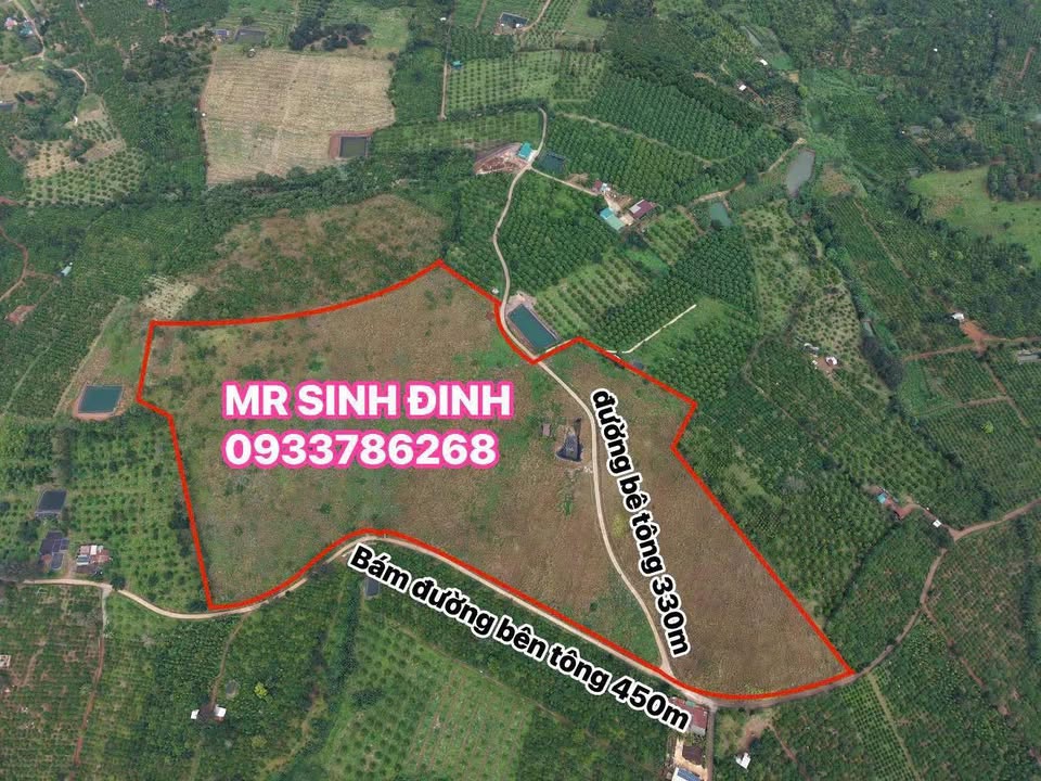 Đất rẫy Eassin Krông Búk 90.000m² giá 15 tỷ - Mặt tiền bê tông 780m