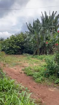 Đất nền Phú Xuân, Krông Năng 500m² giá 5.75 tỷ - Đầu tư sinh lời hấp dẫn!