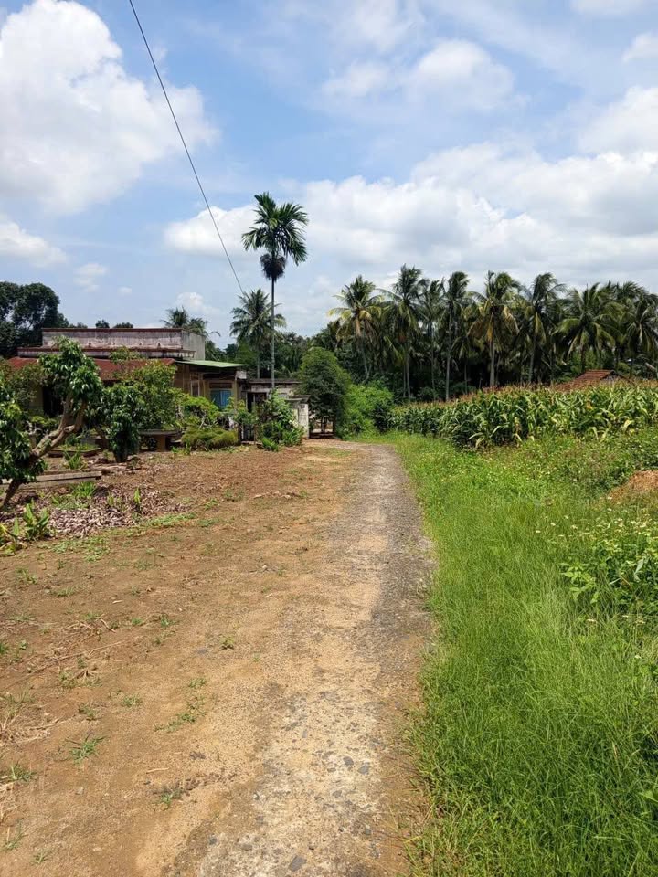 Đất thổ cư Ea Kmut 162m² giá thỏa thuận - Vị trí gần đồi Chư Cúc