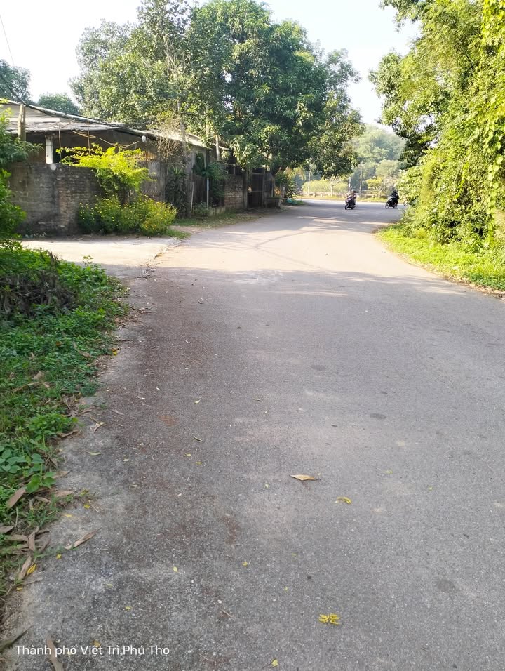 Đất nền mặt tiền 8m, khu phố 2, Việt Trì 200m² giá chỉ 2 tỷ - Đầu tư sinh lời ngay!