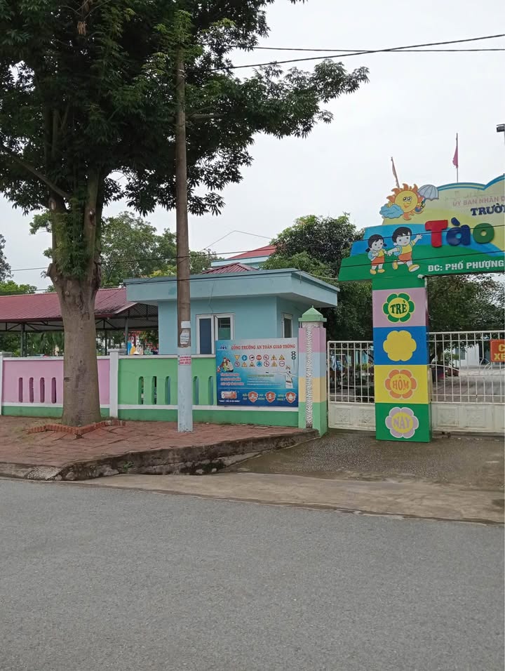 Đất nền sổ đỏ 100m² Tào Xuyên, Thanh Hóa - Giá tốt cho nhà đầu tư!