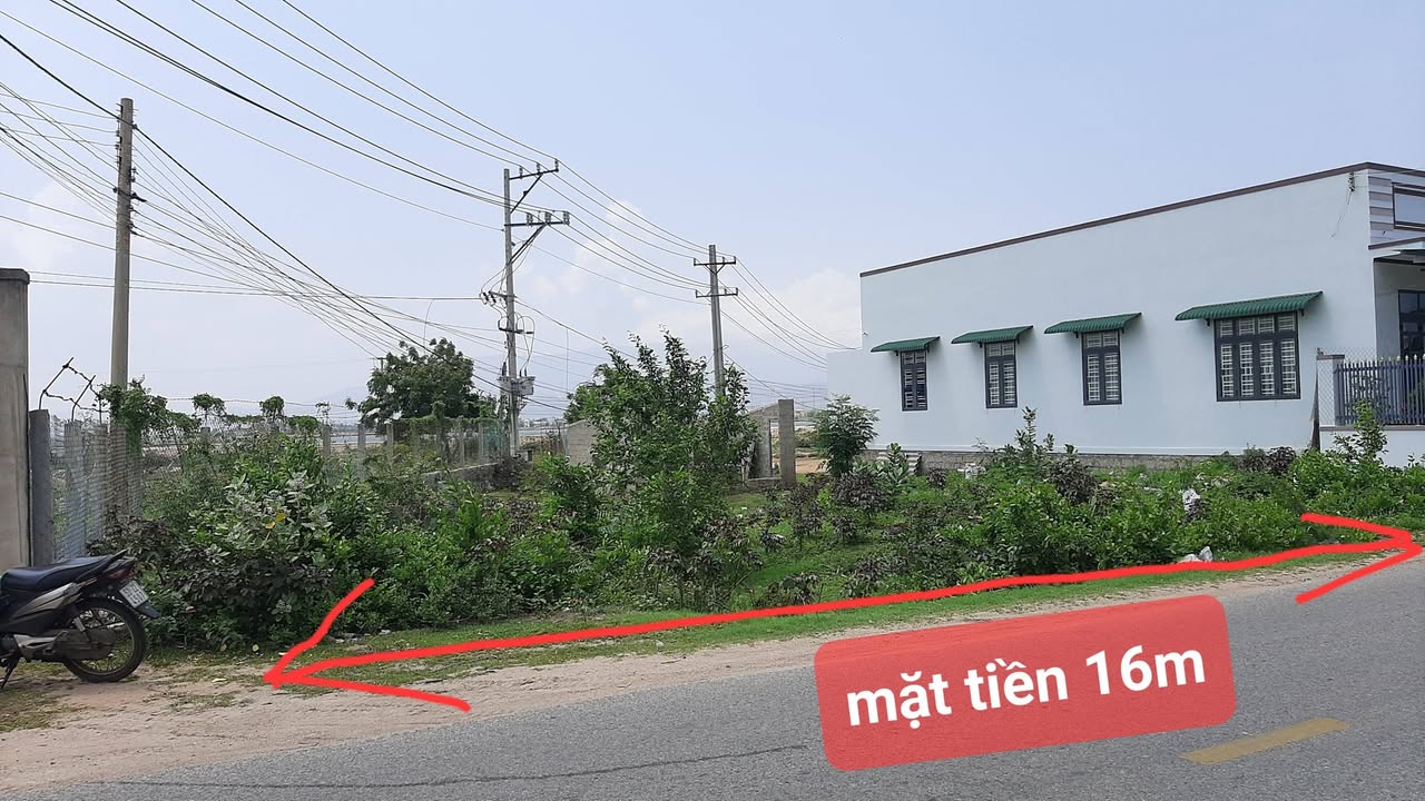 Đất thổ cư 300m² mặt tiền tỉnh lộ DT702 Ninh Thuận - Phù hợp xây biệt thự, homestay
