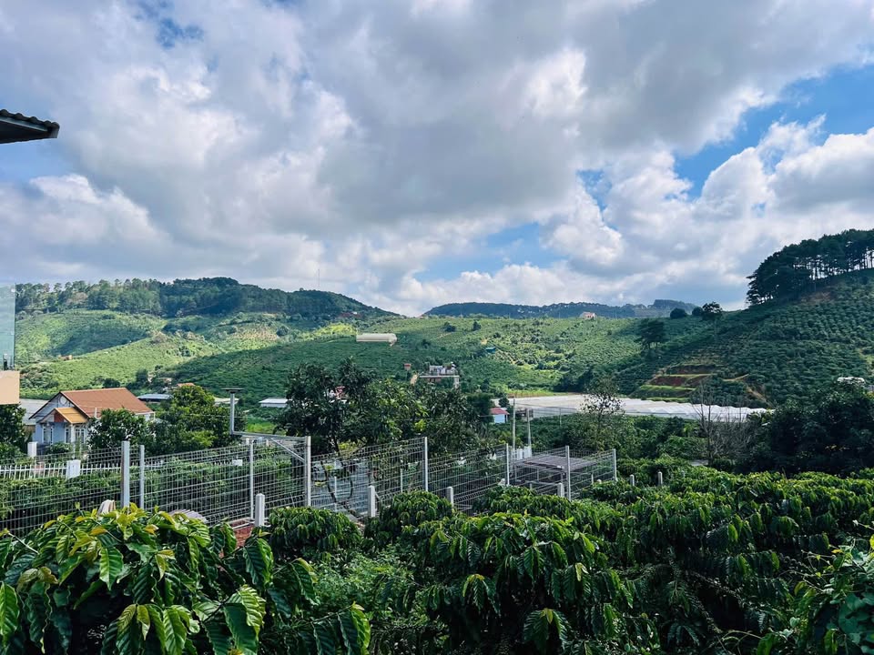 Đất nền Mê Linh Lâm Hà 239m² giá 790 triệu - Cơ hội đầu tư tuyệt vời!