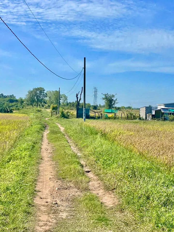 Đất nền Hàm Chính 765m² giá 320 triệu - Cơ hội đầu tư tuyệt vời!