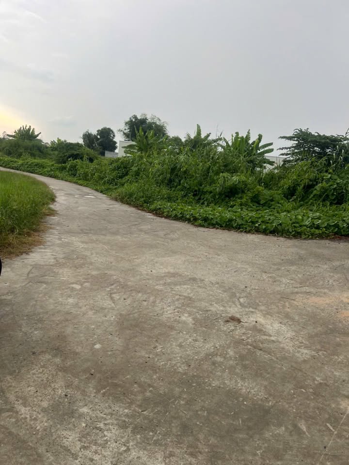 Đất thổ cư Thạnh Lộc, Châu Thành 125m² giá 700 triệu - Đầu tư sinh lời ngay!