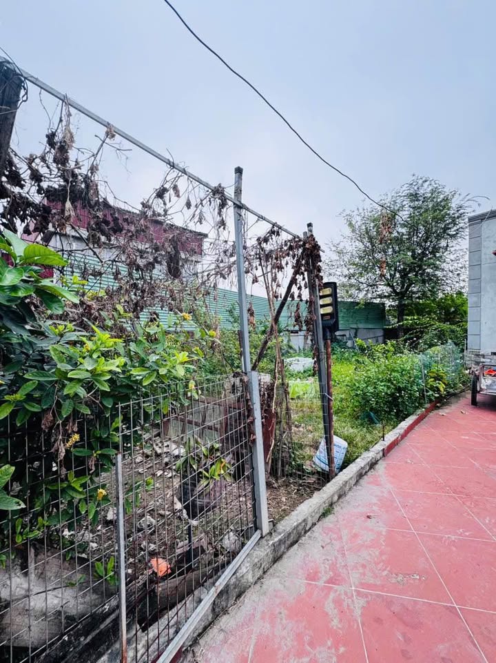 Đất Vân Tra, An Đồng 61.6m² giá 1.5 tỷ - Cơ hội đầu tư hiếm có!