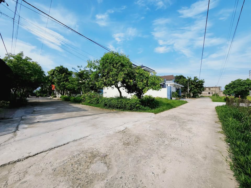 Đất nền Thôn Trung Hòa, xã Tân Lâm Hương, 216m² giá 3 tỷ - Sổ đỏ chính chủ!