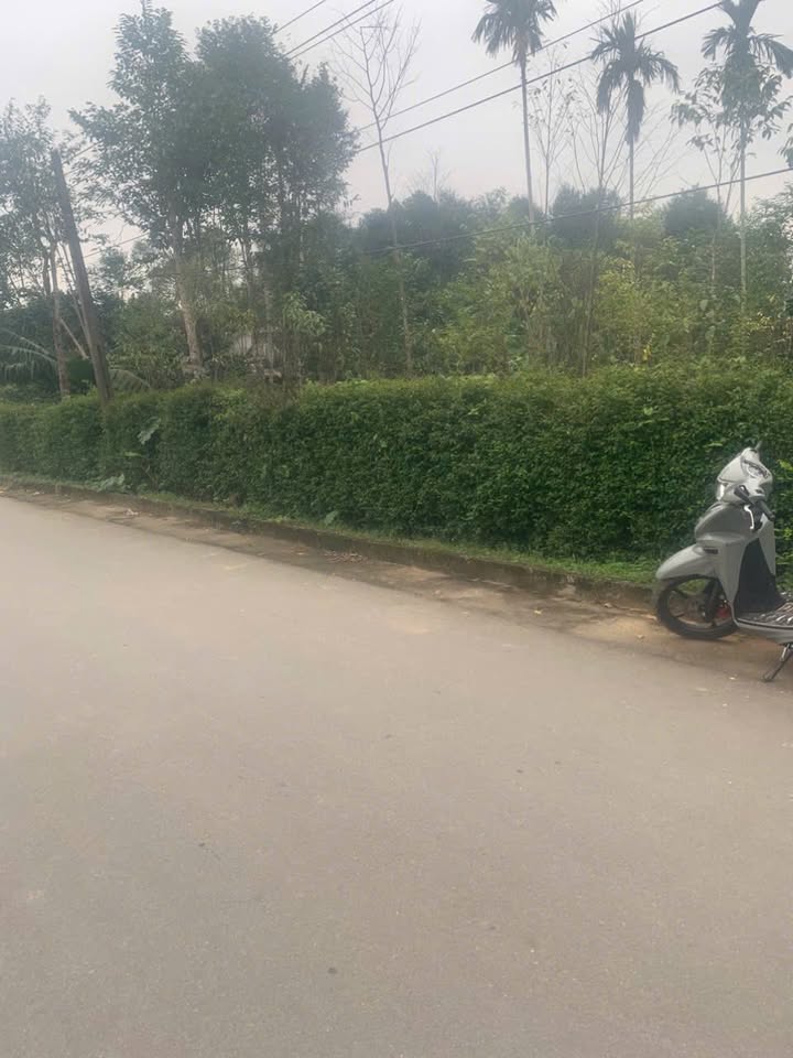 Đất đẹp Hương Khê 253m² giá 170 triệu - Đường rộng ô tô vào tận nơi!