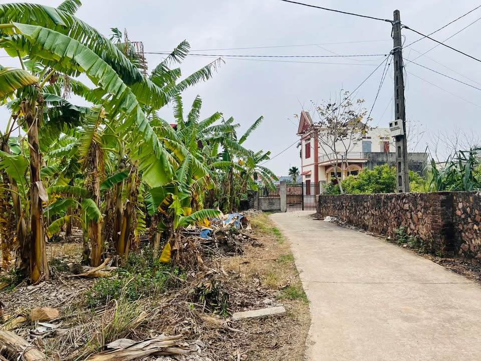 Đất nền Tiên Nha, Lục Nam 123m² giá chỉ 400 triệu - Cơ hội đầu tư tốt!