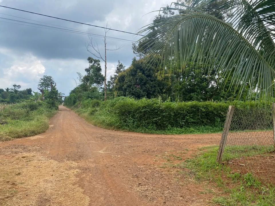 Đất hẻm cấp 1 Cuôr Đăng 1316m² giá 3.63 tỷ - Vị trí đẹp đầu tư hoặc an cư!