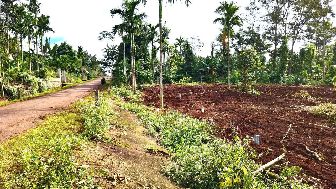 Đất liền kề Buôn Jung, Cư Kuin 197m² giá 1.6 tỷ - Đầu tư sinh lời ngay!