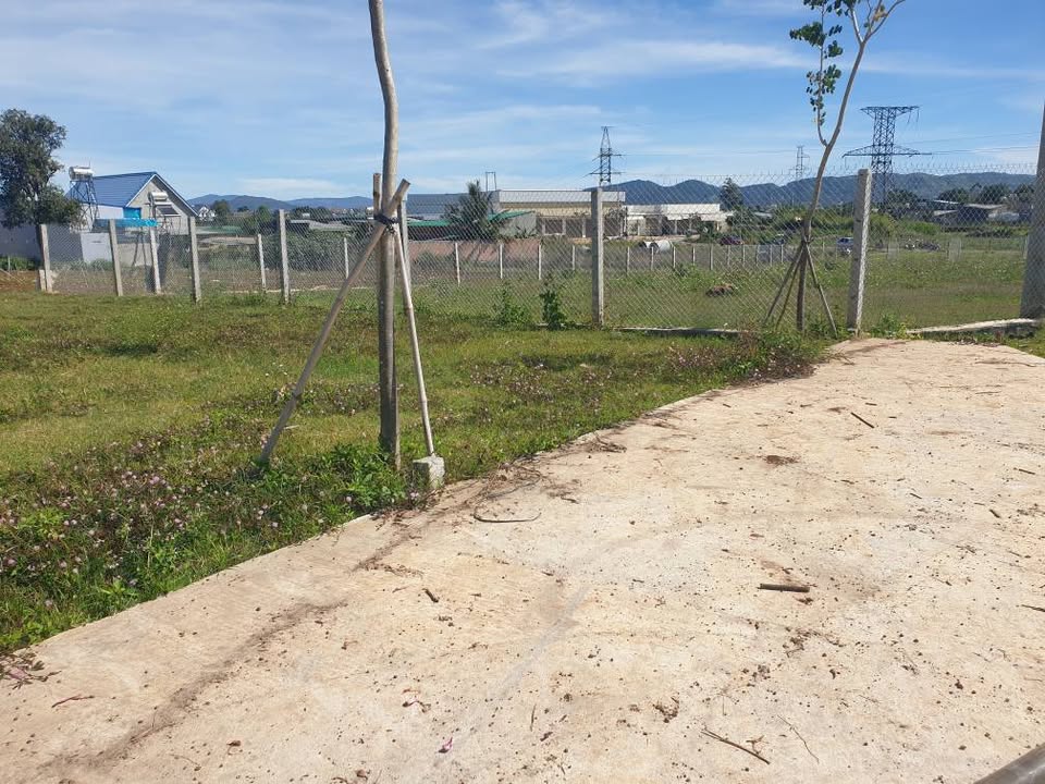 Đất thổ cư Phú Hội, Đức Trọng, 100m² giá 780 triệu - Cơ hội đầu tư sinh lời!