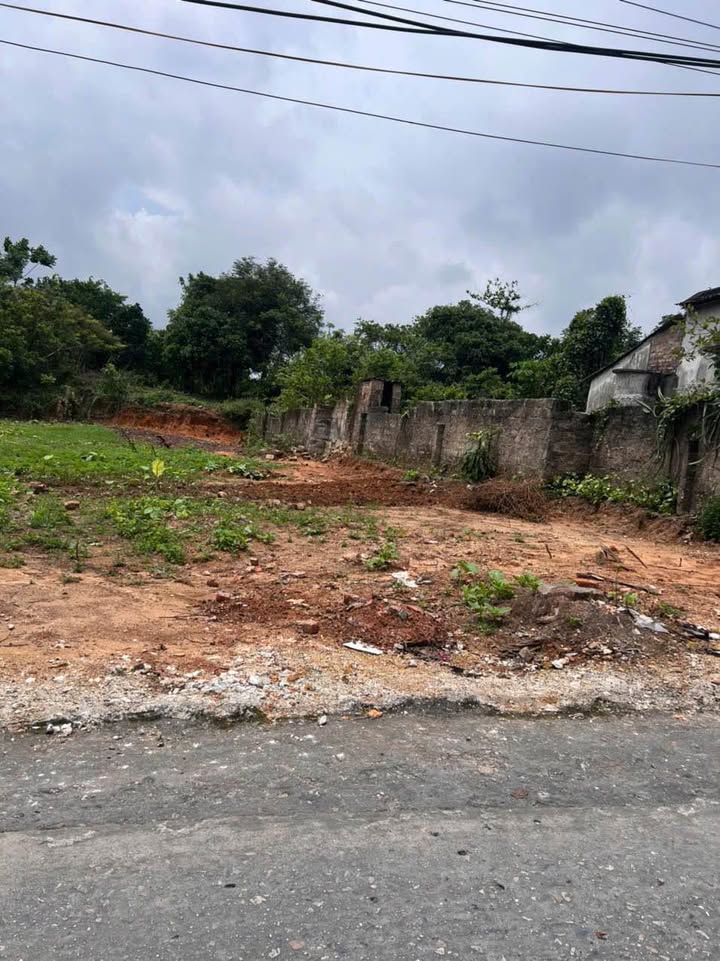 Đất nền Yên Sơn - Yên Thọ, Đông Triều 186m² chỉ 500 triệu - Đường ô tô tận nơi!