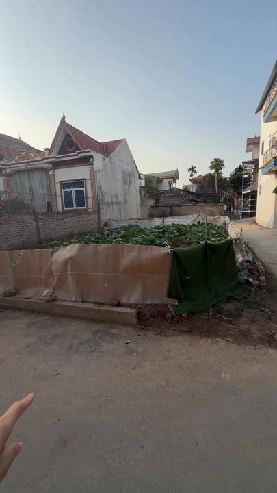 Đất nền 85m² thôn Võng Ngoại, Phúc Lộc - Giá chỉ 3 tỷ, sổ đỏ chính chủ!