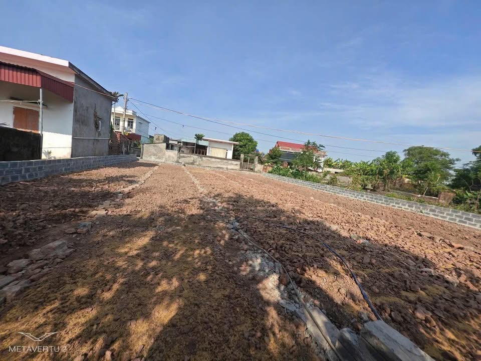 Đất nền Thuần Thành Thái Thụy 100m² giá chỉ 600 triệu - Đường ô tô tránh nhau!