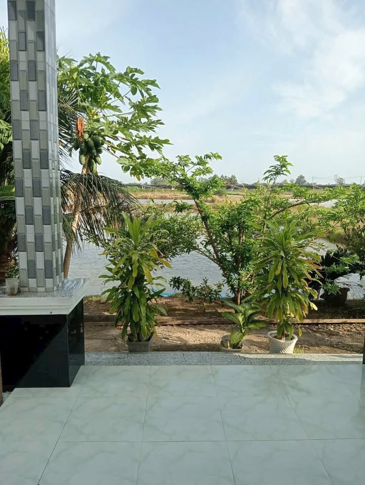 Đất nền và nhà mái thái ấp Hòa Nhạn, 15.000m² chỉ 2 tỷ - Cơ hội đầu tư tuyệt vời!