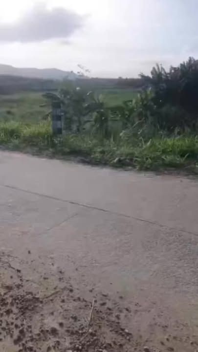 Đất nền Nghĩa Thuận 21600m² giá thỏa thuận - Vị trí đắc địa, tiềm năng đầu tư cao!