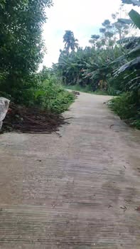 Đất trồng lúa 3600m² Nghĩa Thuận giá 40 triệu - Tiềm năng sinh lời cao!