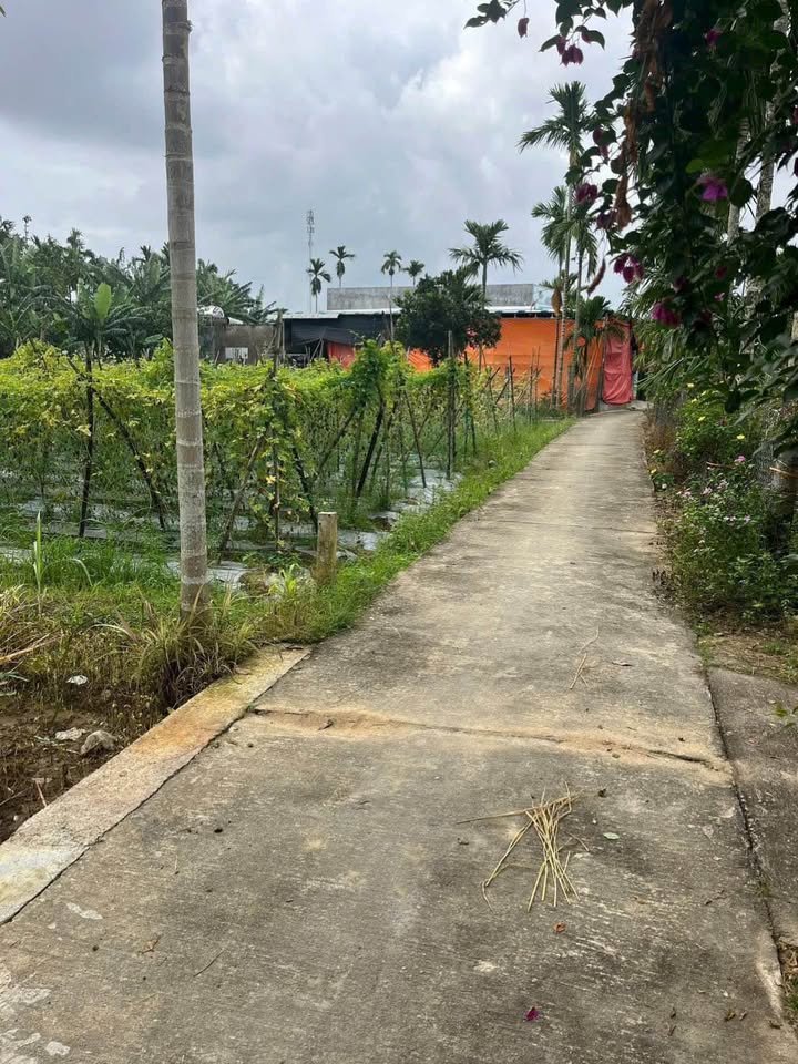 Đất nền chính chủ Nghĩa Thương Tư Nghĩa 210m² giá chỉ 590 triệu - Cơ hội đầu tư hấp dẫn!