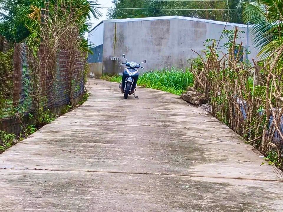 Đất nền Tịnh Phong 130m² giá chỉ 550 triệu - Đầu tư sinh lời hấp dẫn!