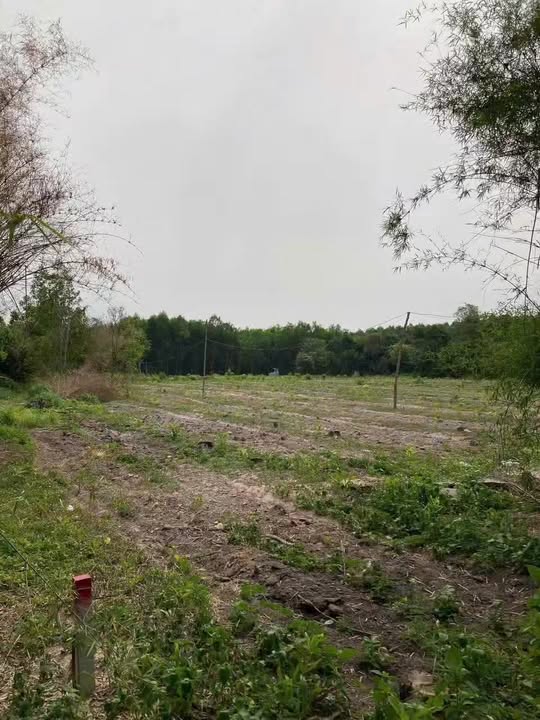 Đất quy hoạch giáo dục 1.000m² Long Tân Nhơn Trạch - Giá chỉ 1.8 tỷ - Cơ hội đầu tư hấp dẫn!