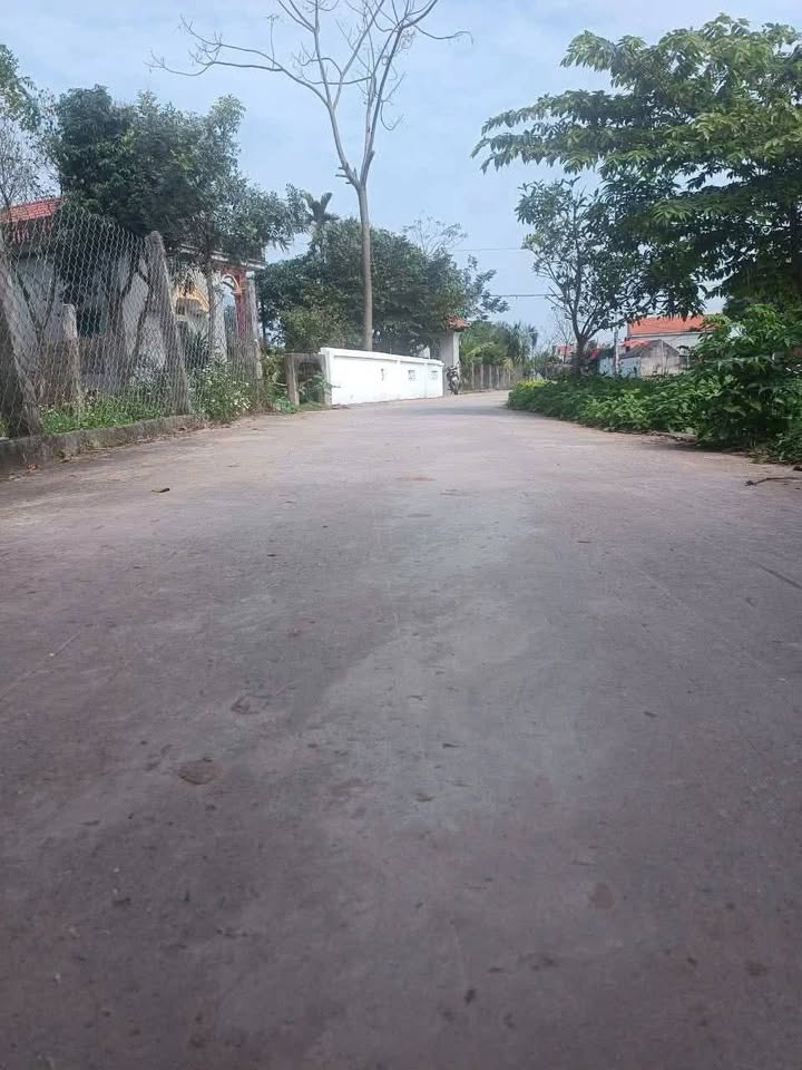 Đất nền Khánh Công Yên Khánh 180m² giá chỉ 300 triệu - Cơ hội vàng cho nhà đầu tư!