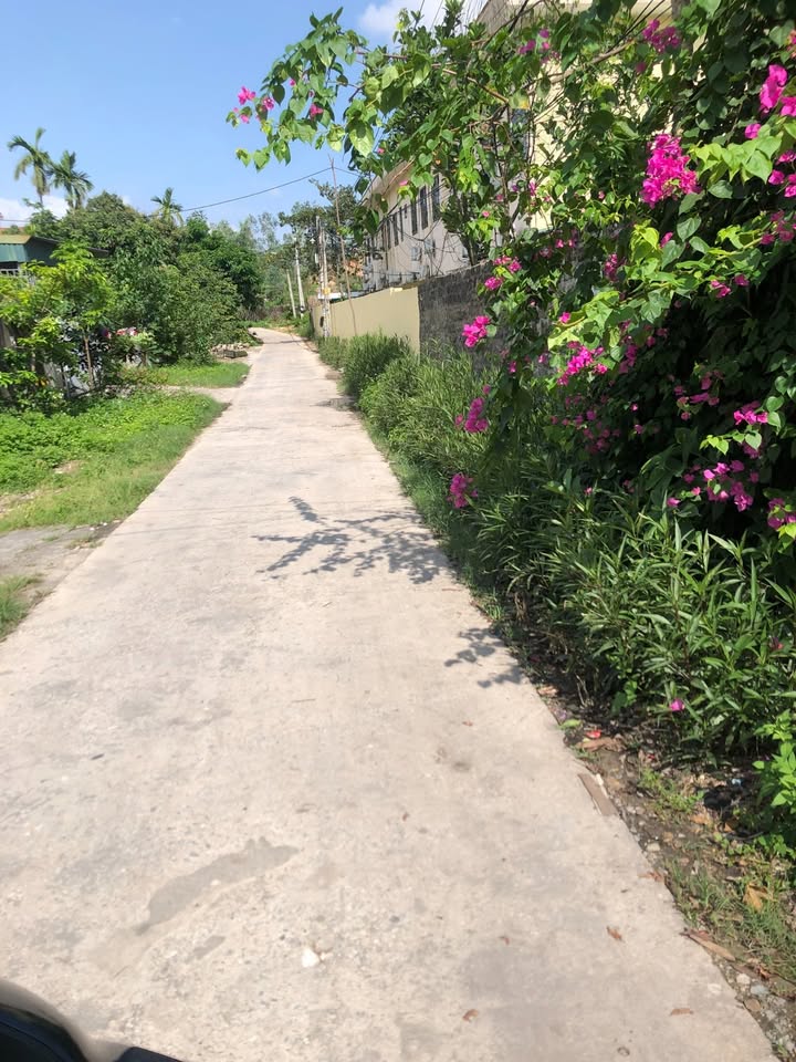 Đất nền khu 9 Thanh Sơn, Uông Bí 100m² giá 1 tỷ - Đầu tư sinh lời lâu dài!