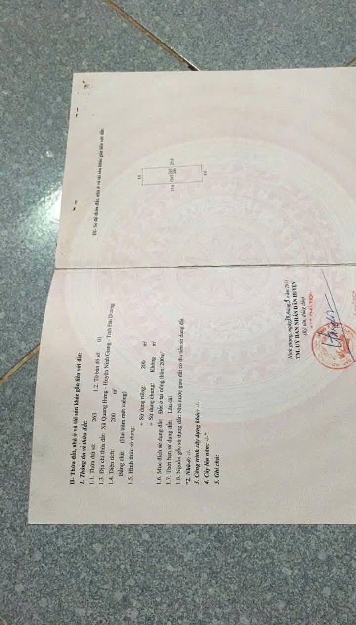 Đất nền Tân Quang Ninh Giang 200m² giá 1 tỷ - Đường lớn tiện lợi!