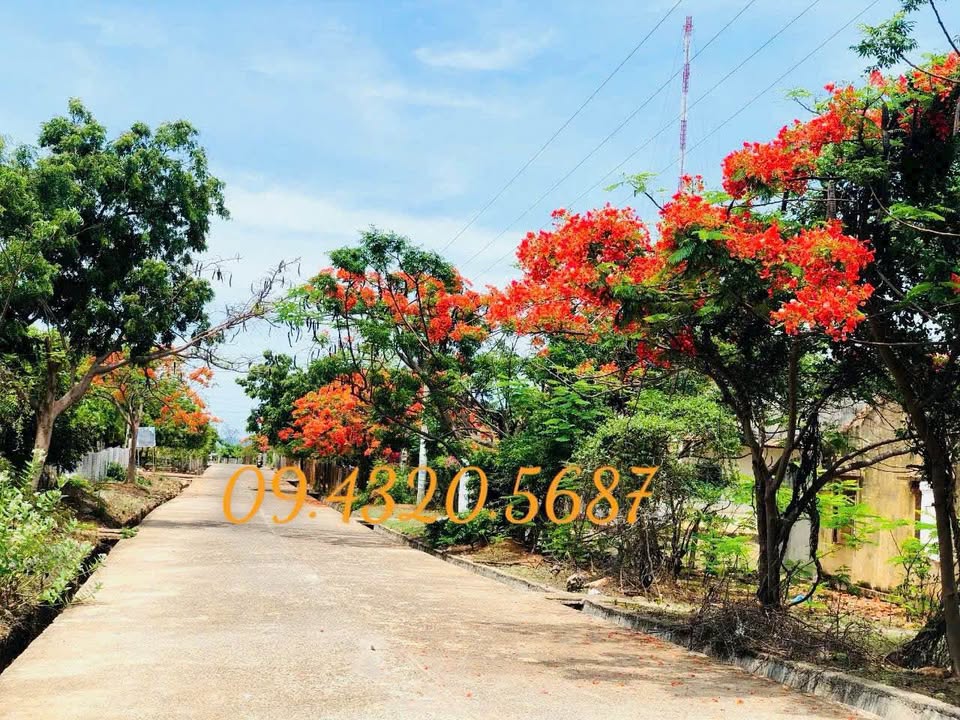 Đất thổ cư Hòa Thắng 150m² giá đầu tư hấp dẫn - Chỉ cách biển 300m!