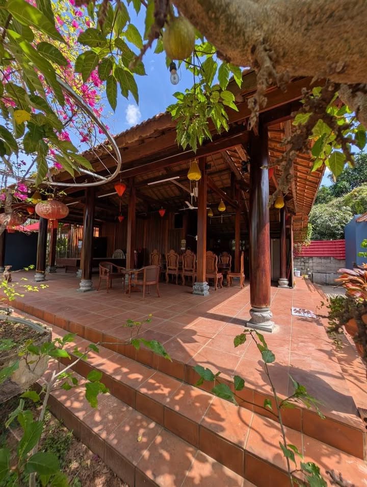 Khu Homestay Đẹp Tại Phan Thiết 1500m² Giá 9.5 Tỷ - Đầu Tư Lợi Nhuận Cao!