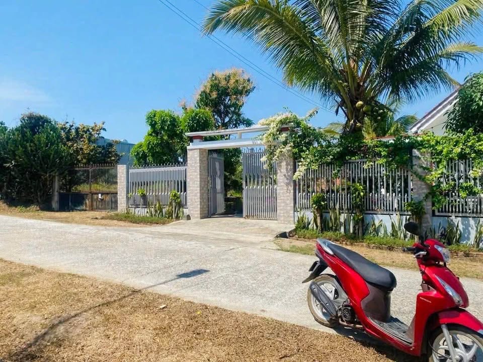 Lô đất thổ cư Đăk Cấm 250m² giá chỉ 500 triệu - Đường bê tông rộng rãi!