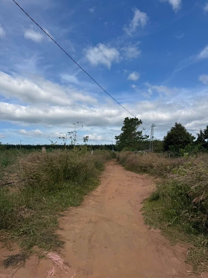 Đất nông nghiệp Ngô Mây, Kon Tum 550m² giá 100 triệu - Đầu tư sinh lời tốt!