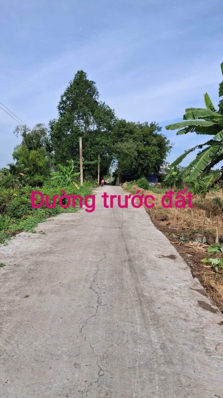 Đất vườn Long Xuyên 2000m² - Tiềm năng phát triển lý tưởng!